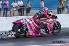 photo-extra-the-2026-amalie-motor-oil-nhra-gatornationals-www.dragzine.com-138-www.dragzine.com