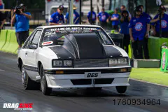 All-Motor-Winner