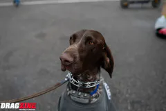 photo-extra-the-experience-of-sick-week-2026-www.dragzine.com-15-www.dragzine.com