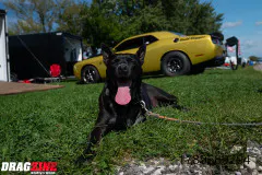 sean-madden-wins-wi-outlaw-stick-shift-challenge-at-great-lakes-dragway-www.dragzine.com-12