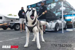 wind-in-the-valley-brings-heads-up-racing-to-lebanon-valley-dragway-www.dragzine.com-42